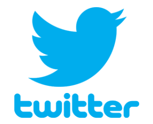 Twitter logo button